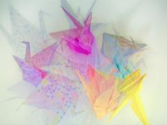 日常を明るく鮮やかに。挑戦の"フラミンゴカラー"で毎日を美しく彩りましょう♡