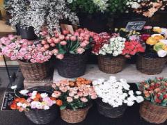 春といえばお花！バラの一輪ネイルが大流行の予感♡