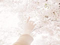 120円で感じる春の味。無印良品の’桜のクリームサンドクッキー’がインスタで話題らしい