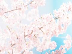 指先から親しみやすく♡新学期、友達を作るネイル