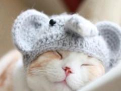 うさぎ・ねこ・くま・パンダ…アニマルネイルでキュートな指先を叶える♡