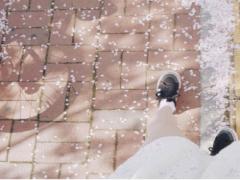 お花見はデザート担当です。写真映え◎な簡単手作りスイーツ作ましょ♡