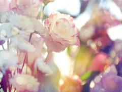 流行りの"生っぽいツヤ肌"を作る。透明感を仕込める話題のコスメって？