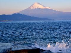 行かなきゃ損！静岡県で人気の観光スポット&amp;グルメ情報