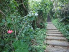 小さくて美しい島、小浜島。のんびり観光して素敵な時間を過ごしましょう