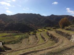 見て良し・感じて良しの小豆島。心に残る観光スポット