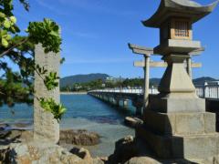 海の恵みたっぷり！蒲郡グルメが楽しめるおすすめ店10選