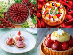 甘酸っぱくて幸せ！贅沢すぎるいちごスイーツ4選
