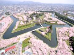 この春みたい桜の絶景1位！五稜郭公園を埋め尽くすほどの桜に惚れ惚れ