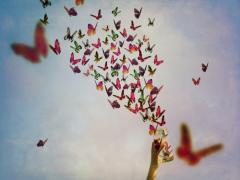 指先から、羽ばたけわたし。蝶々ネイルで可憐な指先をGET♡