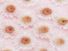 新しい出会いで溢れる春だから。【シーン別】可愛いワタシを作るHow to