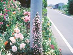 ［色別］ふんわりandビビッドに色づく春のパステルカラーコスメBEST20まとめ