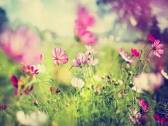 目指せ、あか抜けデビュー！ピンクに恋する春アイテム探し♡