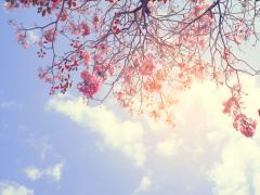 トレンドカラーを唇にON‘ピンクルージュ’が今季マストBUYコスメ