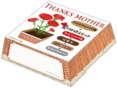 カーネーションが育つ？チロルから「母の日BOX」登場