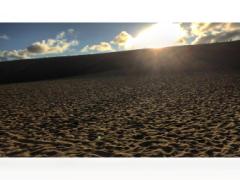 見て買って食べて…盛りだくさん♪鳥取の一日観光ツアーにご案内！