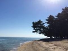 廃線を彩る、見事な桜。明治時代を感じて歩く「蹴上インクライン」