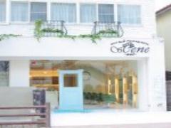 ショートで軽やかさを手に入れる！ふんわりショートのヘアカタログ