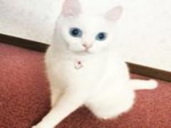 都心に一番近いリゾート地「熱海」の魅力は海だけじゃない！「陸」のスポットご紹介しま