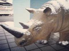 コテなし＆一つ結びでお洒落に！忙しい朝に5分で出来る簡単ヘアアレンジ