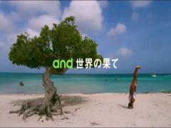 美しすぎる検索結果に息をのむ。話題の「はての浜」ってどんなとこ？