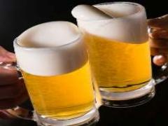 福井で宴会を開こう！郷土料理が楽しめる居酒屋で乾杯