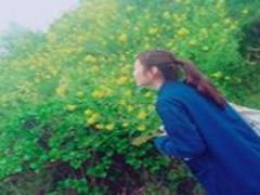 フタを開けると感激の嵐♡おしゃピクのお供はSNSウケ◎のシュープリーズで決まり