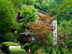 日本海が育てた富山の絶品グルメ♡ゴージャスな海と山の幸を味わおう