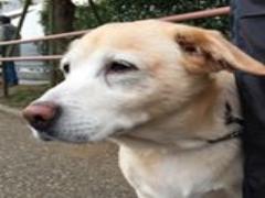 GWどーせどこも混んでます。お家でできる”いつもやれない”こと3つ
