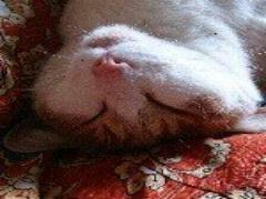 いざ、平安の世へ！1泊2日で巡る雅な平泉観光プラン