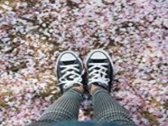 効率の悪い旅行は嫌…！姫路の観光をスマートに楽しもう♡