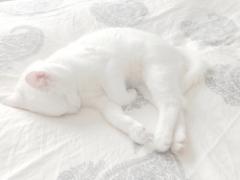 （ランチ後）…眠すぎる。午後に必ずやってくる！睡魔の原因と撃退法