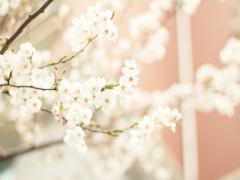 新生活が始まるからこそ、確認して欲しい。あなたを輝かせる5つの基本事項