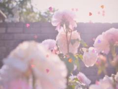 MERYガールは香りまでがオシャレ♡季節と共にシフトしたい、ラブな香りアイテム