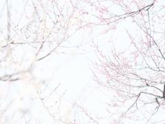 日本生まれを、もっとポップに。思わず「クスッ」な遊び心あふれる伝統工芸品たち