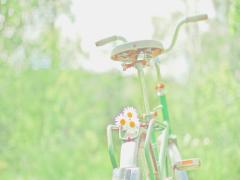 GWの予定はこれで決まり♩有名店を網羅する日帰り餃子ツアーin宇都宮