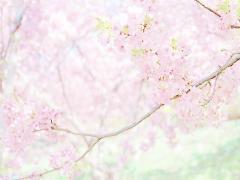 桜だけが春じゃないから！3つの花柄ネイルで、指先にふんわり春を香らせて♡