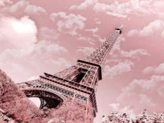 フランス人に憧れて《フレンチカラー》でちょっぴりカジュアルヘア