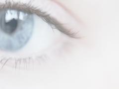 目ヂカラ命の私が惚れ込む、本当に使ってよかった"裏方アイメイクコスメ"3選