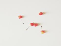 北海道みやげの新定番？千秋庵のお菓子のレトロなパッケージにやられます