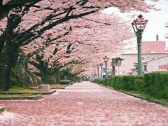 高校生とは違う私を見て？しっかり垢抜けて魅せる3つの「プラスワン」要素♡