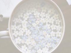 ガラスに閉じ込められたように。透明度100％‘クリア×押し花’の春ネイル