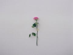 あなたを表す"自分だけの香り”を。JO MALONEのフレグランスコンバイニングとは？