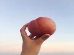 しっとりもちふわっ♡毎日のちょっとした習慣で、みずみずしい桃肌をゲットせよ