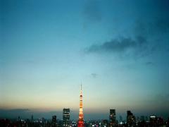 休暇は憧れの街で過ごしました。東京土産におすすめのフォトジェニックスイーツ3選