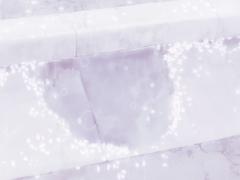 憂鬱な気分を吹き飛ばそう！梅雨に咲く花たちの、癒されスポット3選