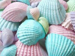 海っぽさをフェミニンに取り入れ♡ふんわりシェルモチーフネイル20選