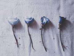 華があるのは1女だけ？無垢と大人入り交じる「今」が一番好き♡