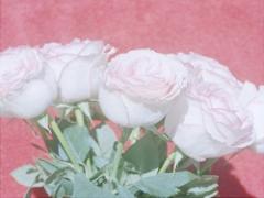［ALL～¥3,000］美意識高めなあのコに送る、ハイセンスギフトLIST♡