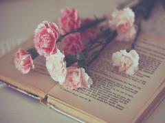 色鉛筆に花が咲く？ちょっと変わった色鉛筆はプレゼントにもぴったりです♡